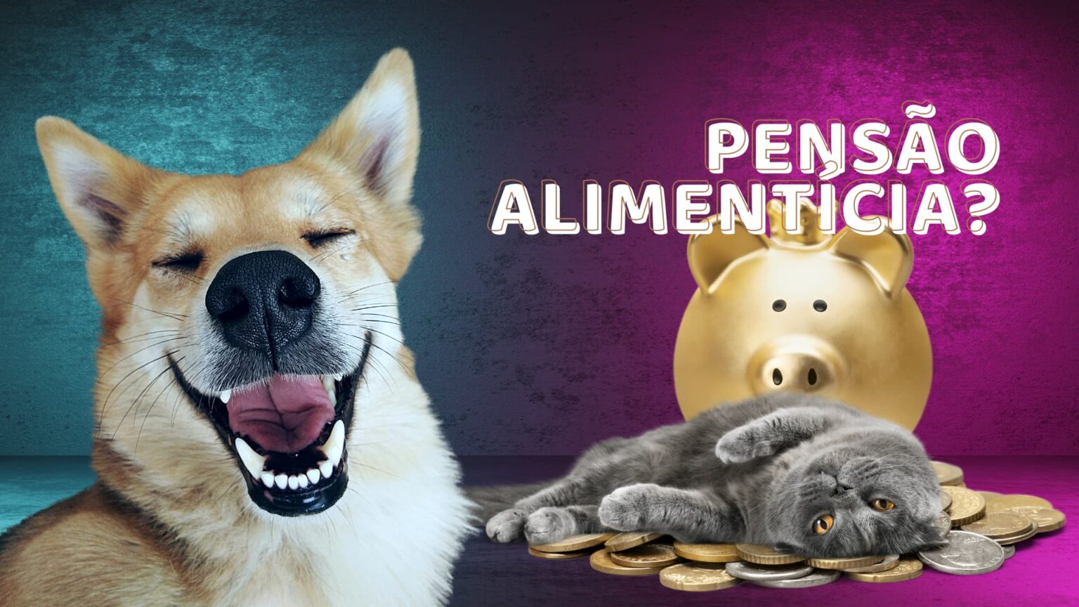 Pensao Alimenticia