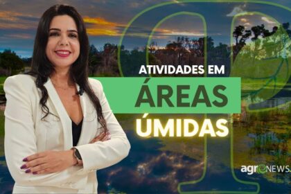 Acp Impede Atividades E Empreendimentos Em Areas Umidas De Mt