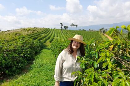 Cafe Vulcancio Botelhos Mg Agronews