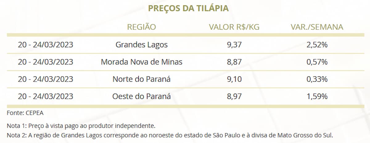 Mercado do Peixe 26 de março 2023, quaresma aquece o setor