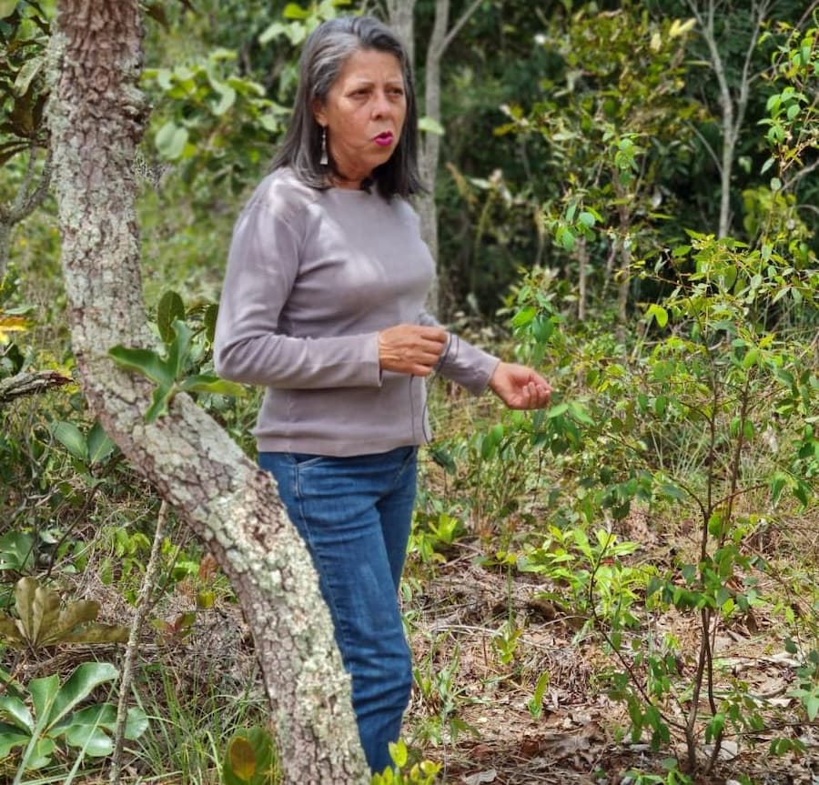 Mato Grosso investe na produção de mel da agricultura familiar