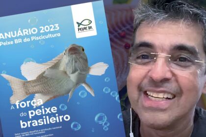 Mercado Do Peixe 04 De Marco 2023