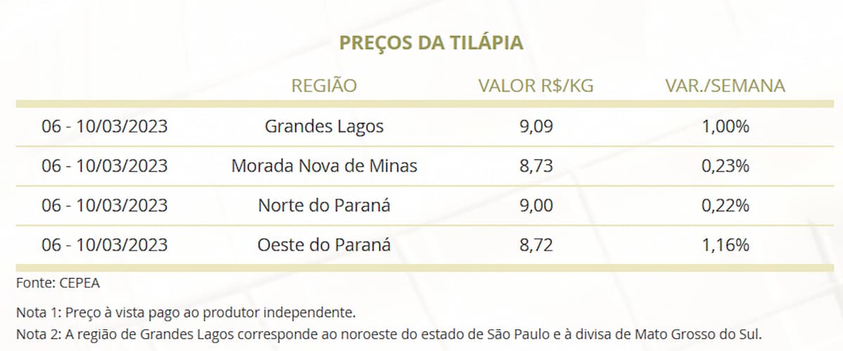 Mercado do Peixe 18 de março 2023, indicadores apontam alta