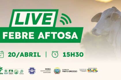 Live Febre Aftosa 1