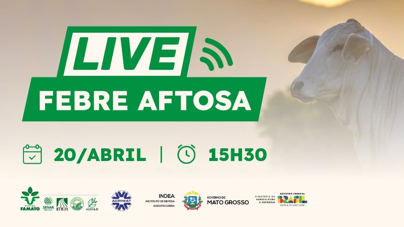 Live Febre Aftosa 1