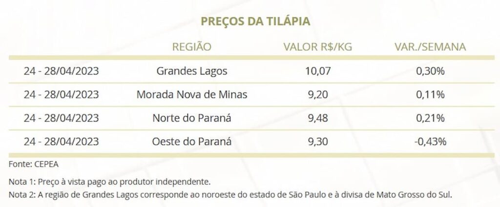 Mercado do Peixe 29 de abril 2023, cenário estável e com demanda por alevinos