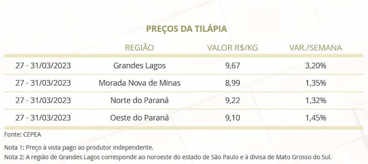 Mercado do Peixe 1º de abril 2023, chegou a Semana Santa