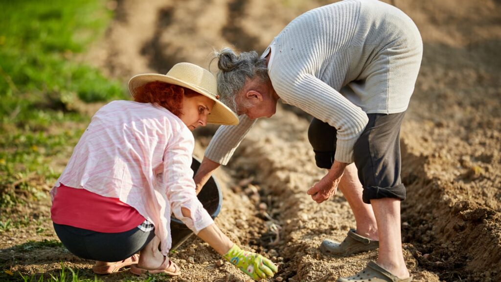 Mães do Agro: Uma homenagem às guerreiras do campo