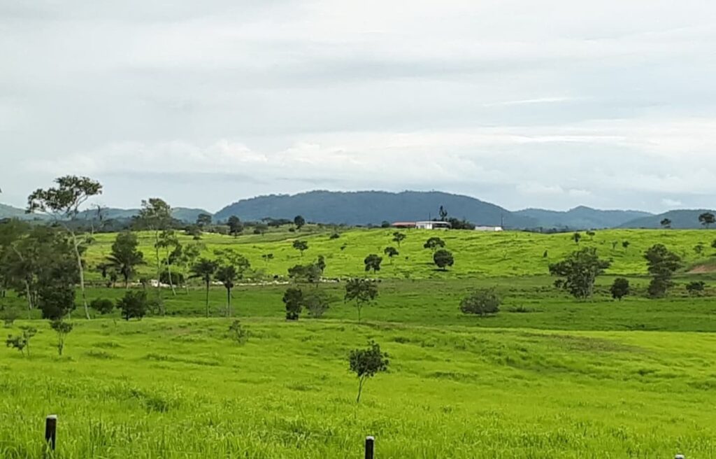 Invasões de terras em Mato Grosso: Uma questão de Justiça ou Intervenção?