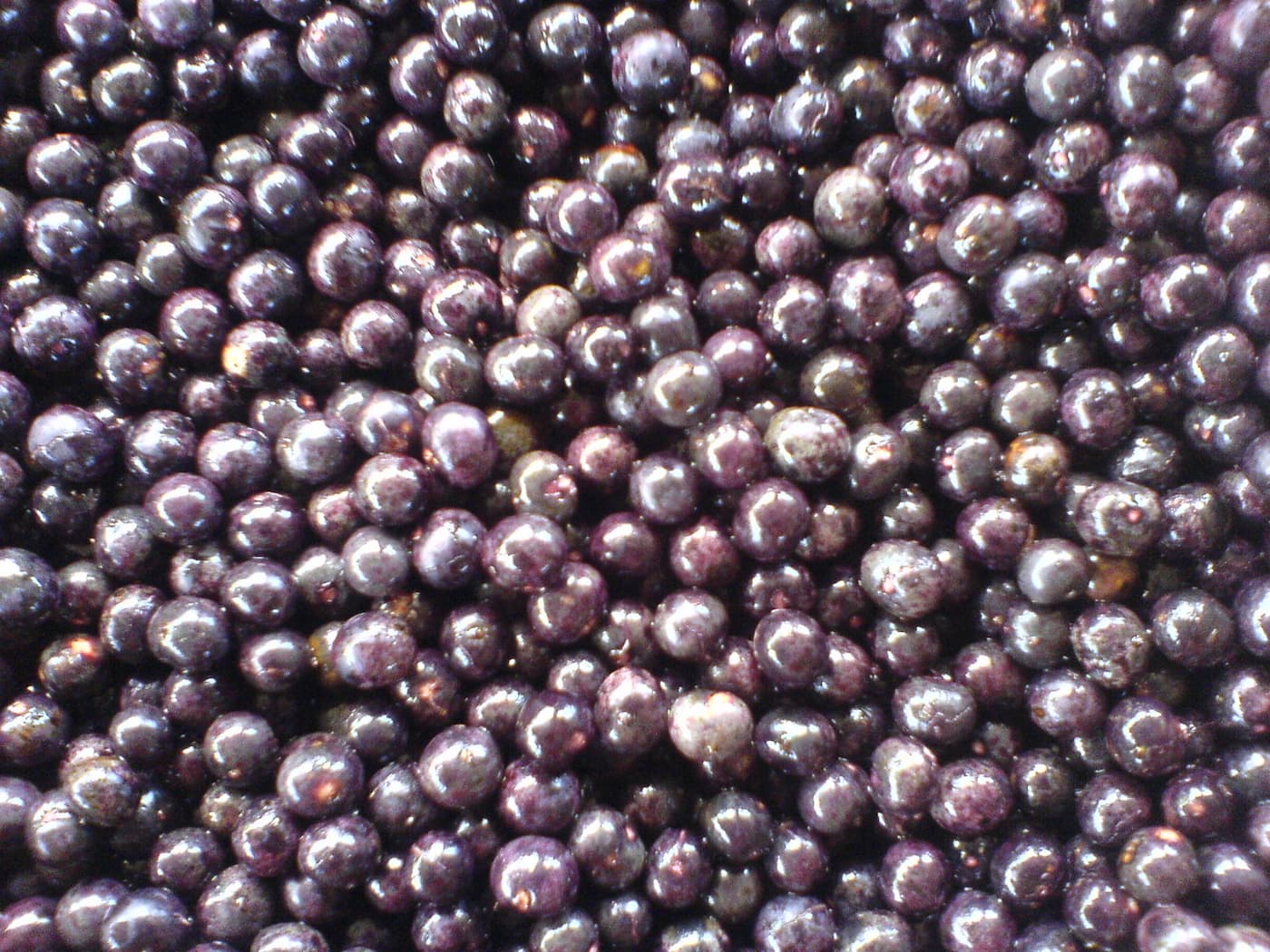 Acai 2 1