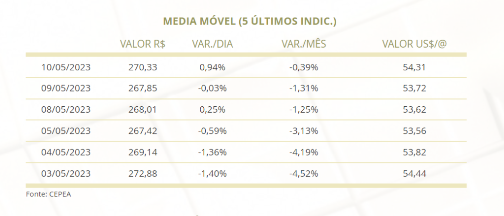 mercado do boi