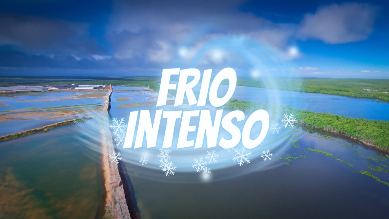 Frio Intenso Afeta Mercado De Peixes E Precos Da Tilapia Oscilam