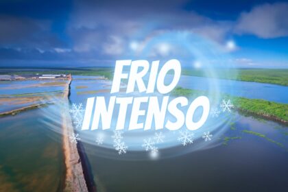 Frio Intenso Afeta Mercado De Peixes E Precos Da Tilapia Oscilam