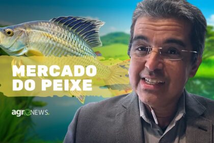 Mercado De Peixes 1