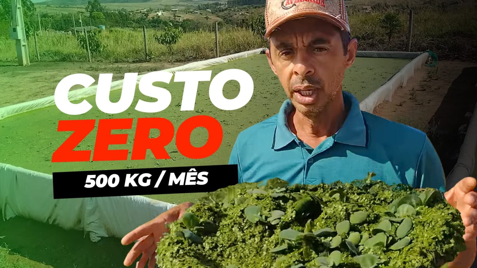 Produtor Revela Tecnica Para Produzir 500 Kg De Alimentos Por Mes A Custo Zero