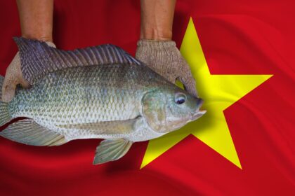 Tilapia Do Vietna