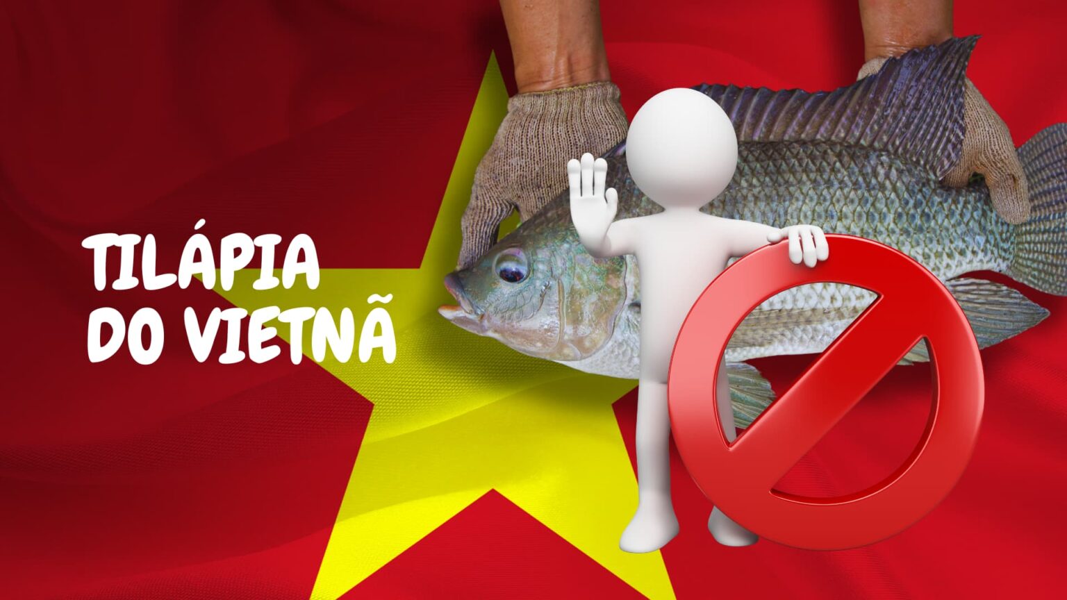 Tilapia Do Vietna Agronews