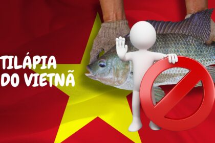 Tilapia Do Vietna Agronews