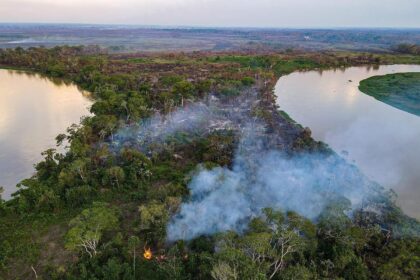 pantanal