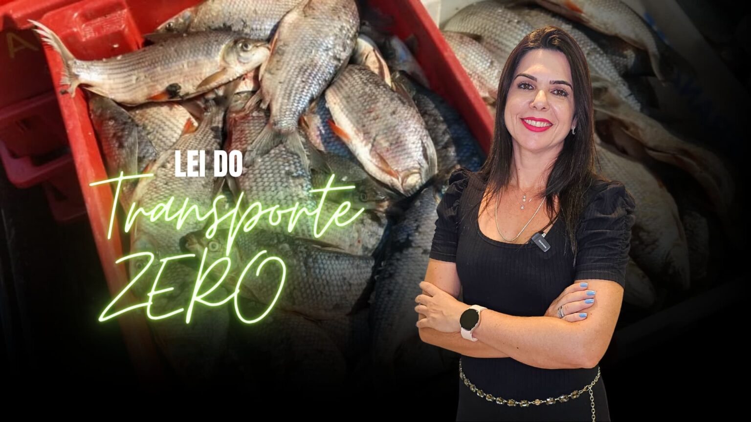 Lei Do Transporte Zero Para Pescados Em Mt