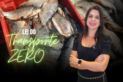 Lei Do Transporte Zero Para Pescados Em Mt