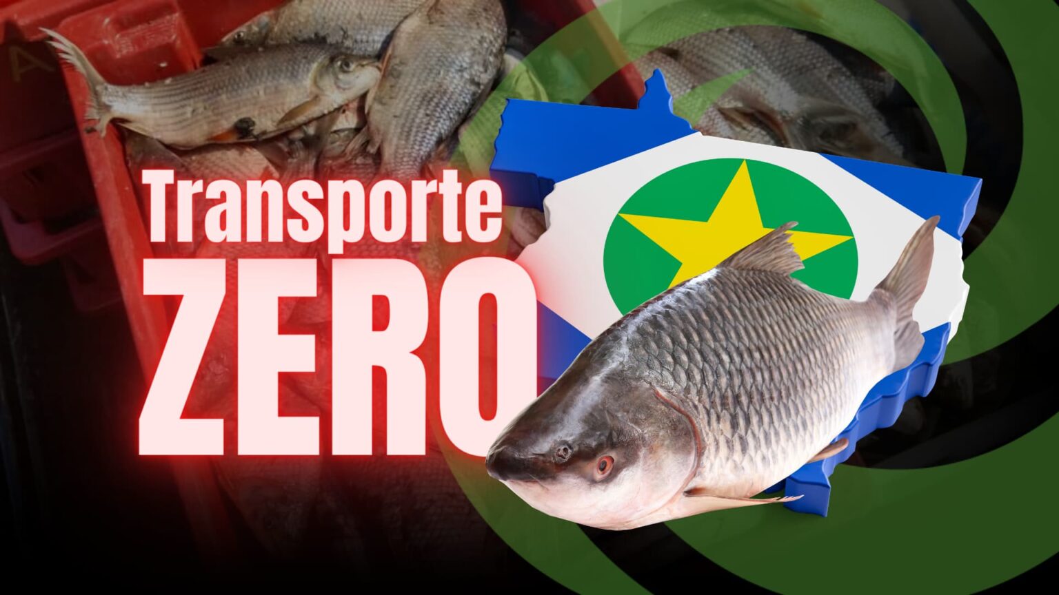 Transporte Zero Do Pescado Em Mt Audiencia De Conciliacao No Stf Acontece Nesta Quinta Feira25