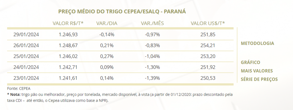 mercado do trigo