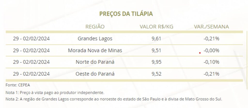 Mercado de peixes: Análise da primeira semana de fevereiro