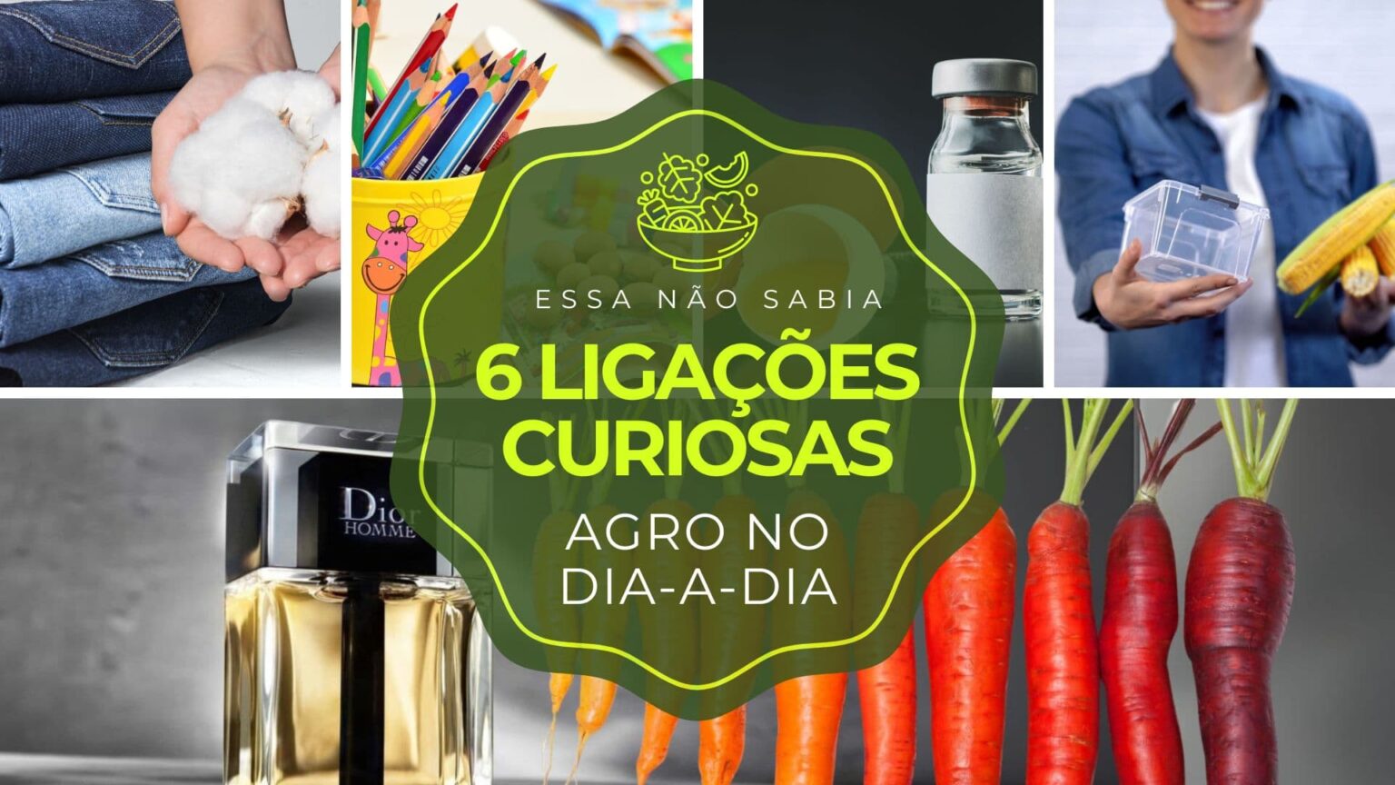 6 ligações curiosas entre o agronegócio e o nosso dia-a-dia