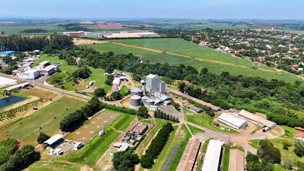 Agricultura Natural para o desenvolvimento Espiritual: Uma inovação no setor produtivo