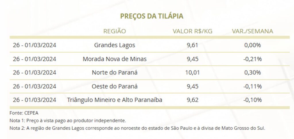 Mercado da tilápia nessa semana, 09 de março 2024