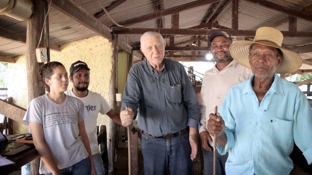 Criador prepara 2000 novilhas Girolando para atender mercado mato-grossense