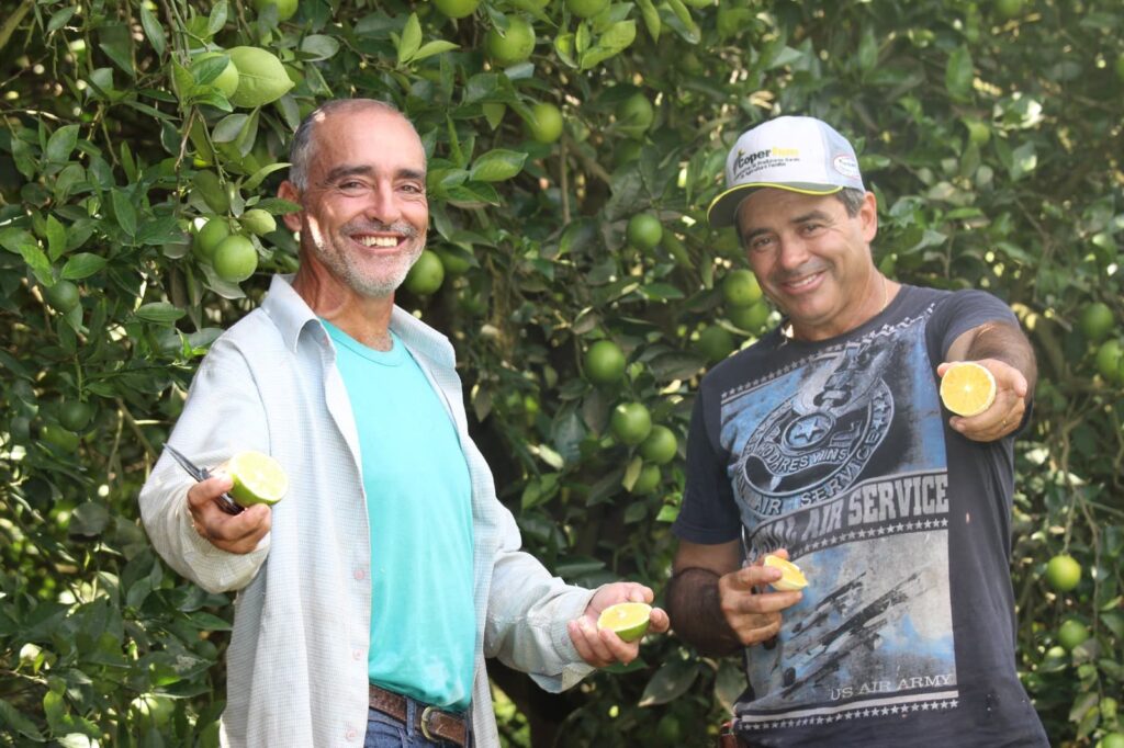 Modelo de negócio baseado em Fairtrade ganha força no Brasil