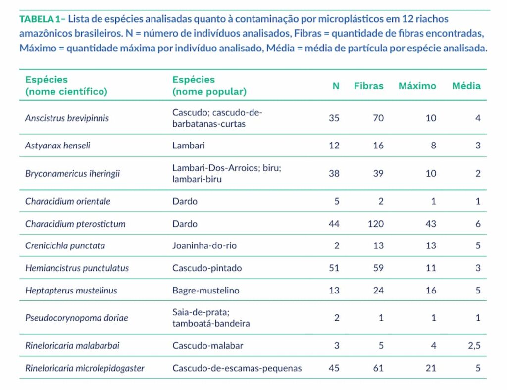 Peixes Contaminados Nos Rios Amazonicos