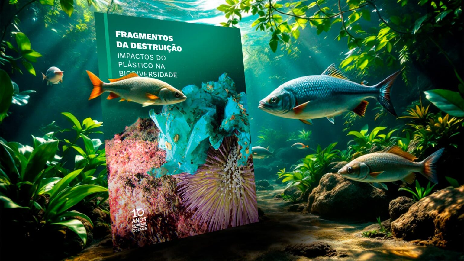 Pesquisa Revela Que 98% Dos Peixes Da Bacia Amazônica Estão Contamidos, E O Vilão Não é O Agro Agronews (1)