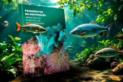 Pesquisa Revela Que 98% Dos Peixes Da Bacia Amazônica Estão Contamidos, E O Vilão Não é O Agro Agronews (1)