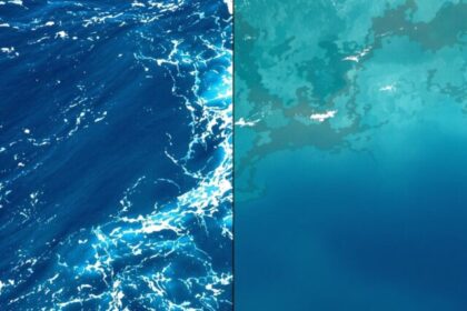 Qual A Diferença Entre Mar E Oceano (1)