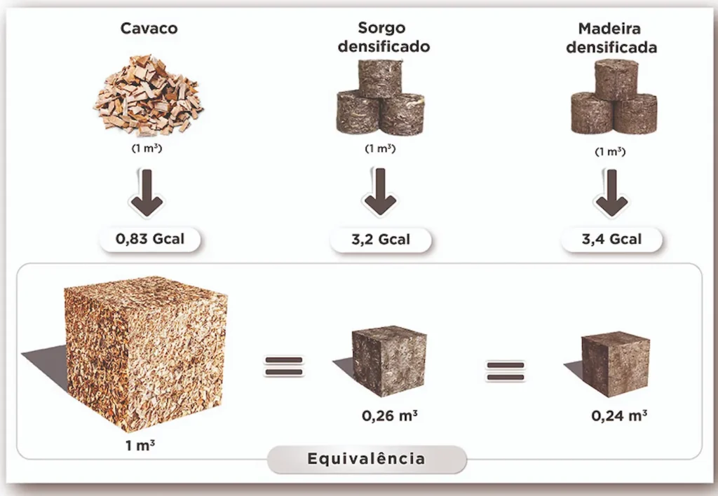 Sorgo (1)