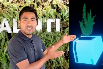 Alinti Jovem Peruano Cria Tecnologia Revolucionária De Energia A Partir De Plantas Agronews