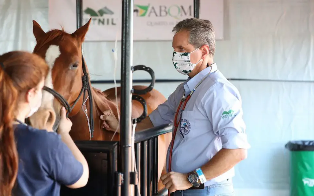 Assistencia Completa Aos Cavalos Atletas Garante Saude Bem Estar E Conforto Nas Competicoes Foto Divulgacao