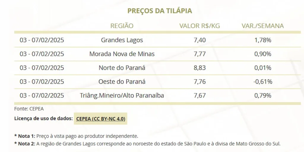 Indicar Tilapia 02 A 08fev2025