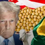 Trump E Agro Brasileiro - agronews